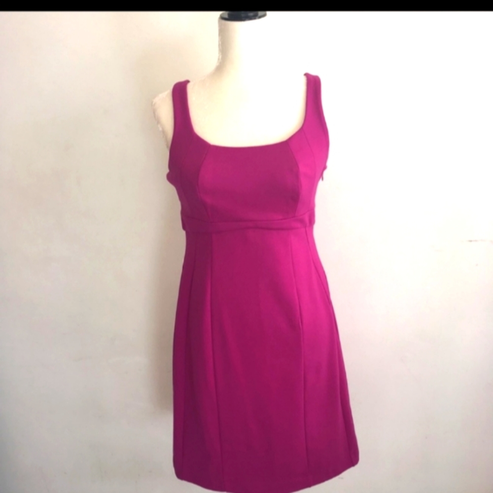 Solid Fuscia/Magenta dress